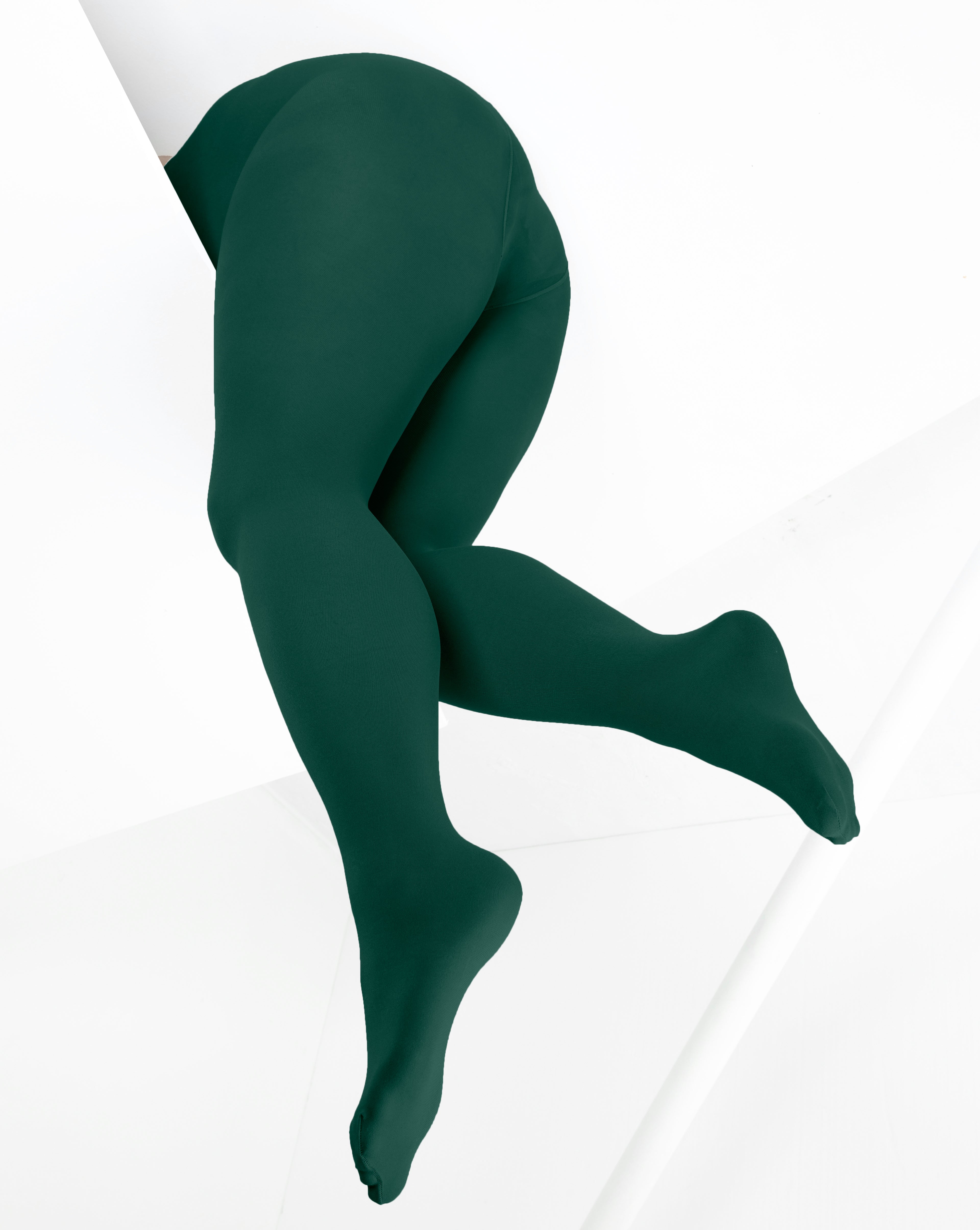 Microfiber Tights 80 Denier 1X/8X